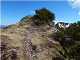 Spodnja Kokra - Bašeljski vrh